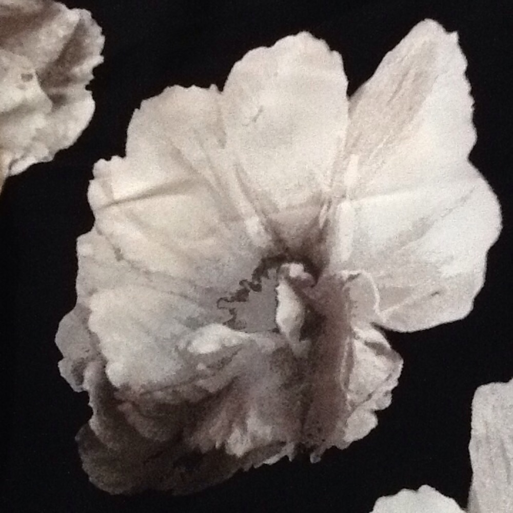 Vera Wang Floral Cold Shoulder Career Blouse NWT - Picture 7 of 9